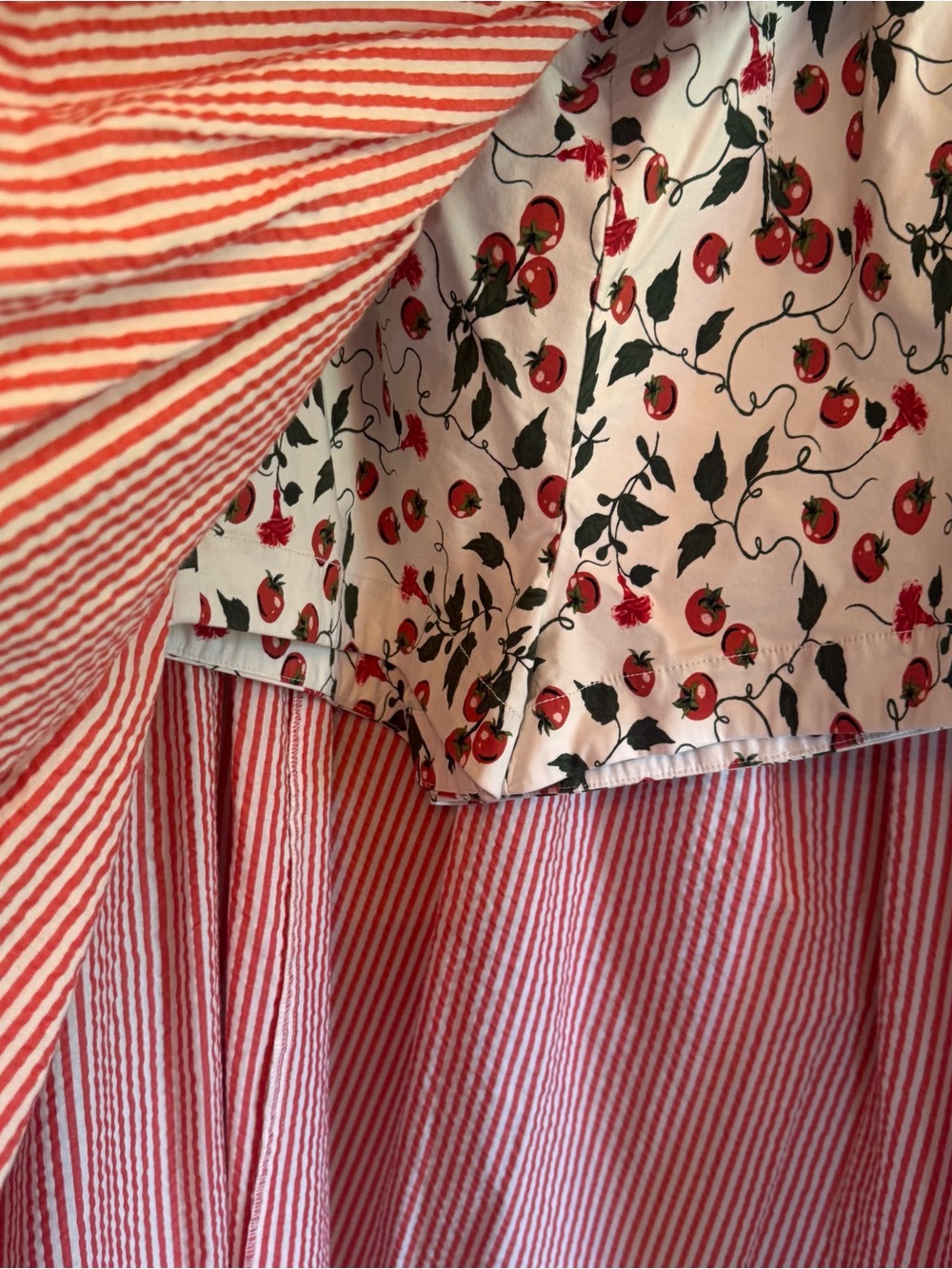 Anthropologie Maeve Red and White Striped Wrap Skirt With Tomato Print Shorts - Picture 4 of 11